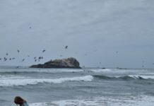 Una aventura de pesca deportiva en Playa Matanzas: el día que atrapé una corvina de 5 kg