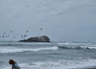 Una aventura de pesca deportiva en Playa Matanzas: el día que atrapé una corvina de 5 kg