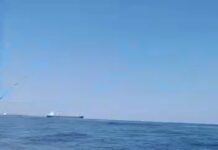 Un día de pesca embarcado en San Antonio, Chile