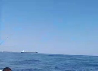 Un día de pesca embarcado en San Antonio, Chile