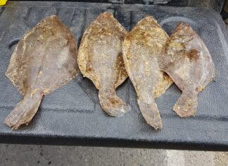 Amanecer entre Lenguados: La Magia Oculta de Playa Gibor